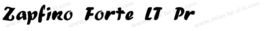 Zapfino Forte LT Pr字体转换